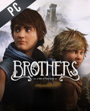 Brothers A Tale of Two Sons Remake