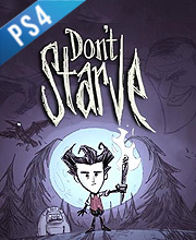 Dont Starve