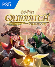 Harry Potter Quidditch Champions