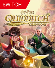 Harry Potter Quidditch Champions