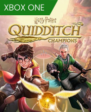 Harry Potter Quidditch Champions