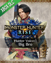 Monster Hunter Rise Hunter Voice Big Bro