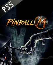 Pinball M