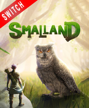 smalland release date switch
