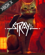 Stray