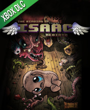 The Binding of Isaac Afterbirth