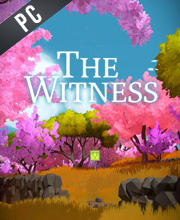 The Witness