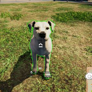 Animal Shelter Simulator - Cão