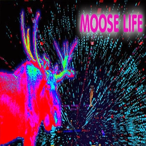 Moose Life