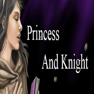 Princess And Knight