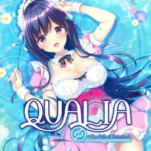 QUALIA The Path of Promise