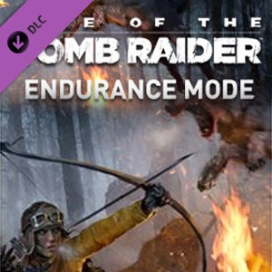 Rise of the Tomb Raider Endurance Mode