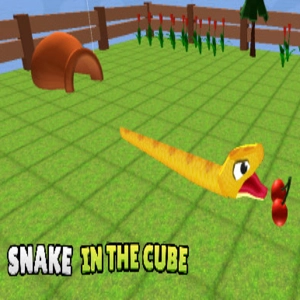 Snake In The Cube