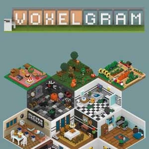 Voxelgram