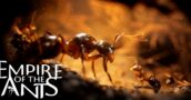 Empire Of The Ants: Todas as edições em destaque – Melhores preços em comparação