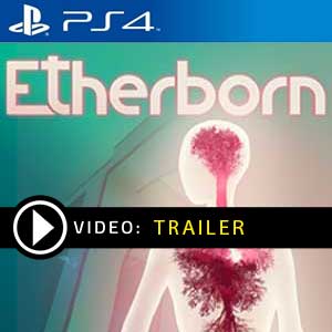 Comprar Etherborn PS4 Comparar Preços