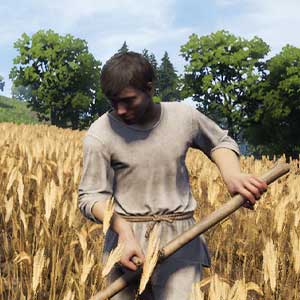 Culturas agrícolas da Medieval Dynasty