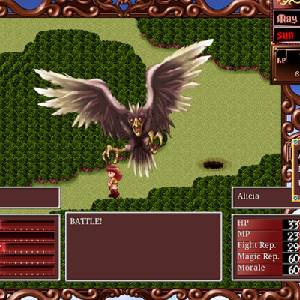 Princess Maker 2 Regeneration - Letchi Condor