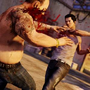 Sleeping Dogs - Corte