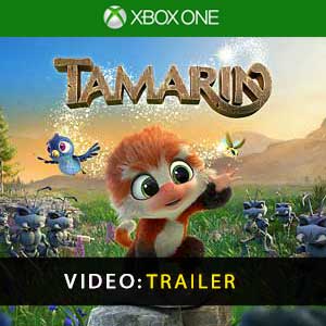 Comprar Tamarin Xbox One Barato Comparar Preços