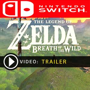 Legend of Zelda Breath of the Wild no Athlon 3000G + RX 560 pelo