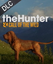 theHunter Call of the Wild Bloodhound