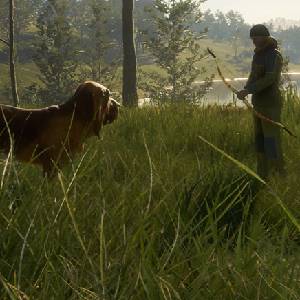 theHunter Call of the Wild Bloodhound - Cão