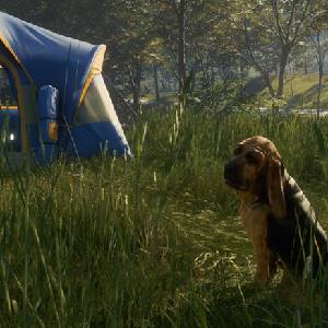 theHunter Call of the Wild Bloodhound - Tenda