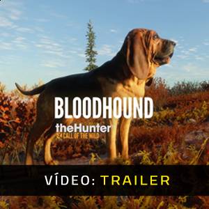 theHunter Call of the Wild Bloodhound Trailer de Vídeo