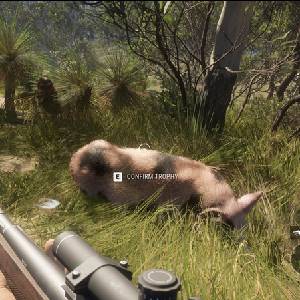 theHunter Call of the Wild Emerald Coast Australia - Botão de Confirmar Troféu