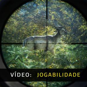 theHunter Call of the Wild Master Hunter Bundle Vídeo de Jogabilidade