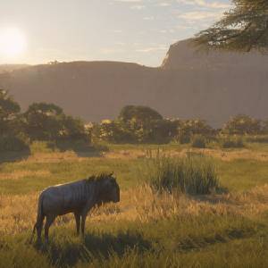 theHunter Call of the Wild Vurhonga Savanna - Gnu Azul