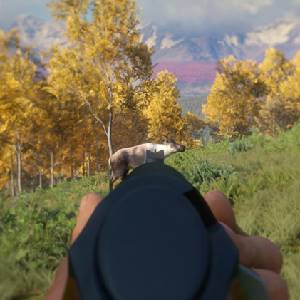 theHunter Call of the Wild Weapon Pack 3 - Rifle