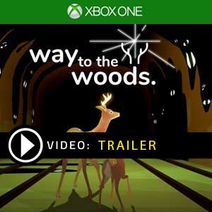 Comprar Way to Woods Xbox One Barato Comparar Preços