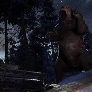 Winter Survival Simulator - Urso selvagem